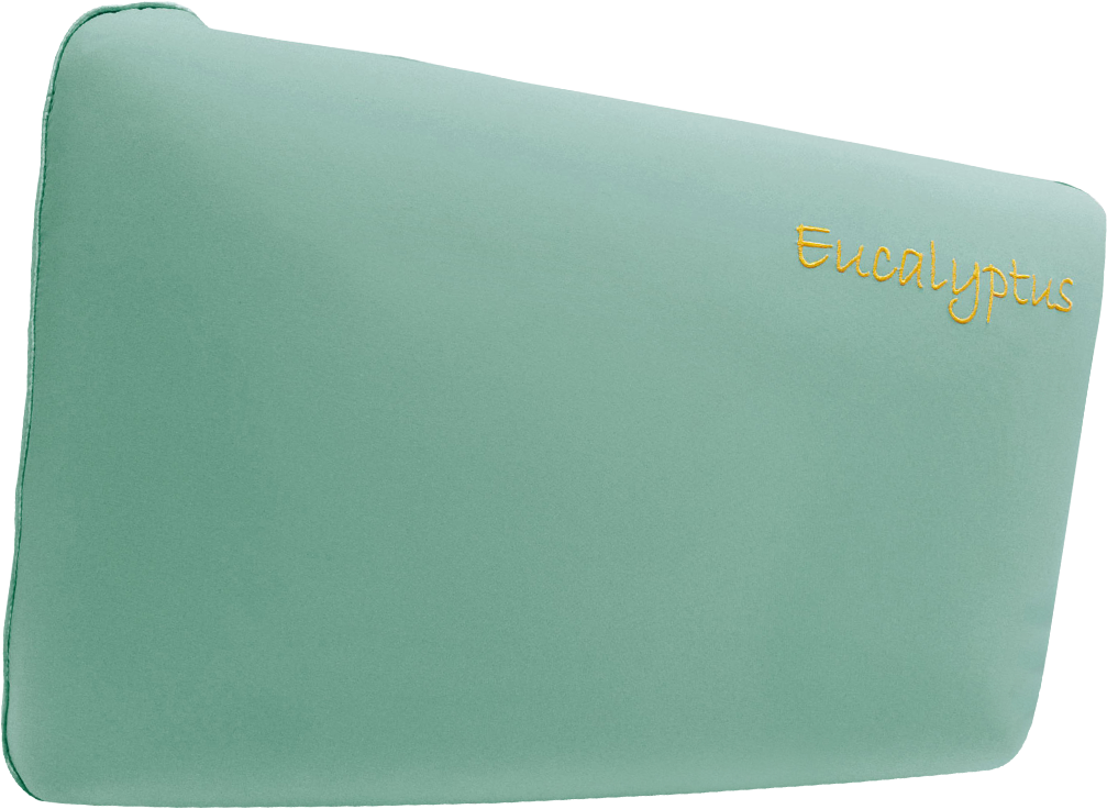 Aroma Eucalyptus Infused Memory Foam Pillow