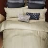 1000TC Cotton Rich 3Pcs Quilt Cover Broad Stripe – Ivory